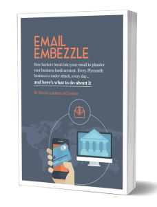 Email Embezzle 3d book